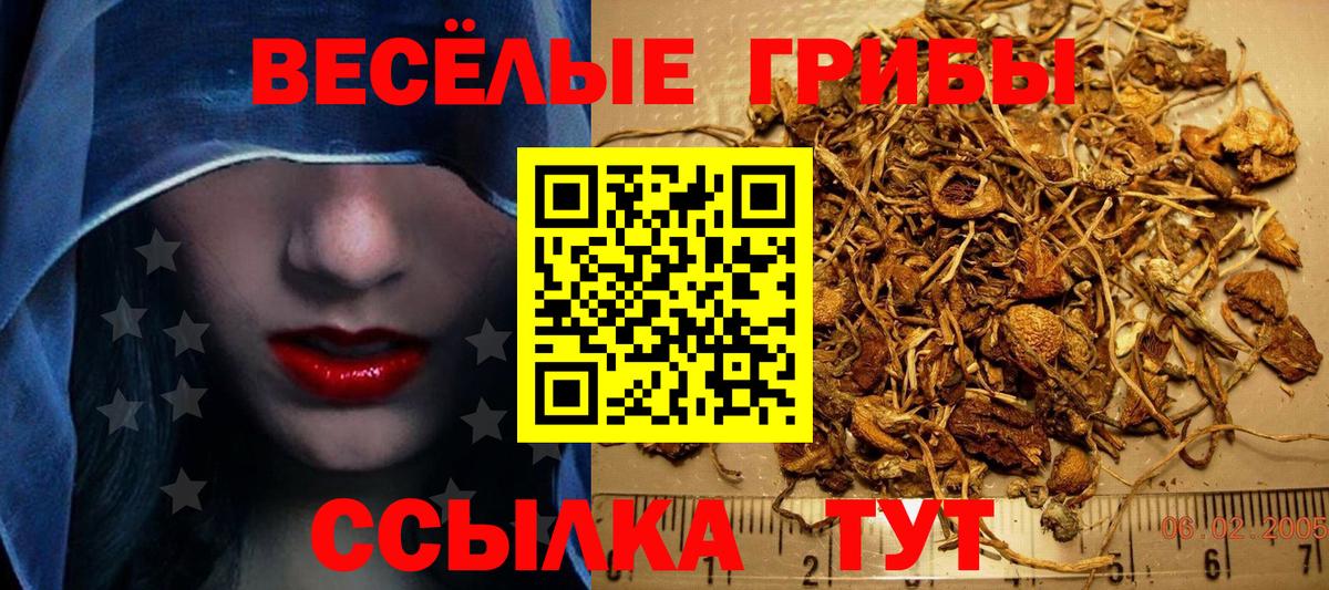 Чусовой  Галлюциногенные грибы Psilocybine cubensis  Псилоцибиновые грибы мухоморы  Вход с VPN 