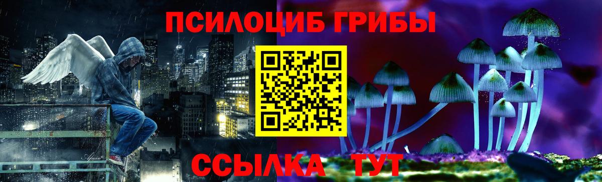 Псилоцибиновые грибы мицелий Чусовой